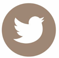 twitter icon